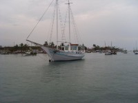 /album/galeria-de-fotos/alto-mar-05-jpg/